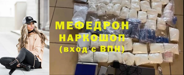 индика Волоколамск
