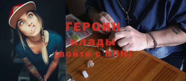 индика Волоколамск