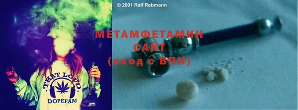 индика Волоколамск