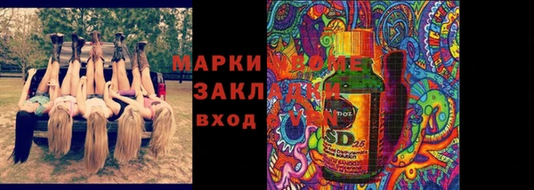 индика Волоколамск