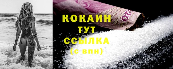 индика Волоколамск
