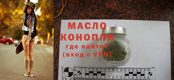 индика Волоколамск