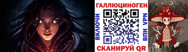 кракен ССЫЛКА Камбарка Псилоцибиновые грибы Psilocybine cubensis